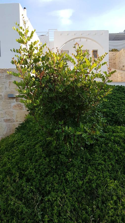 Galini Breeze * Agia Galini (Crete)
