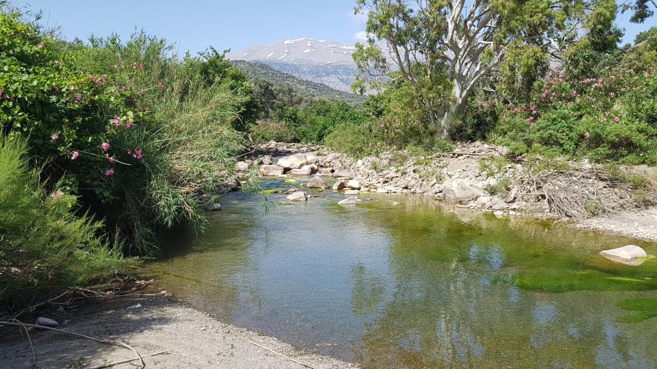 Galini Breeze * Agia Galini