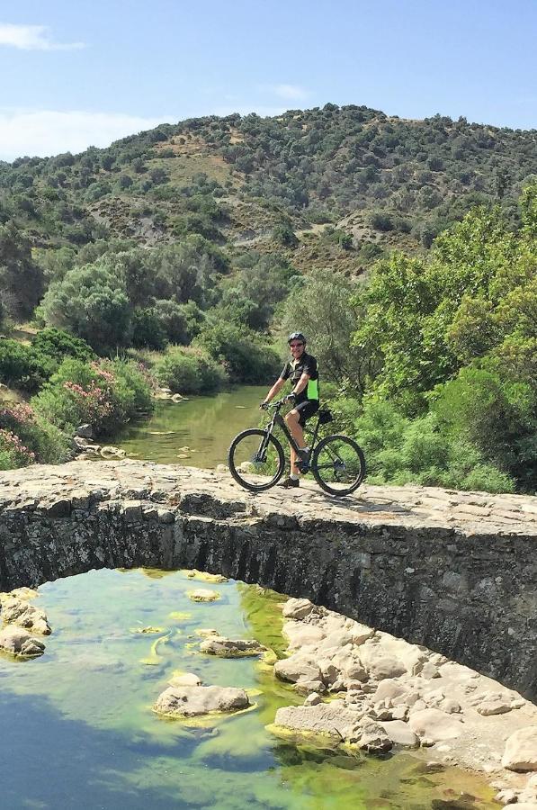 Galini Breeze Daire Agia Galini